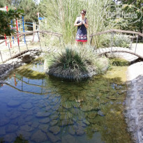 фото из отзыва ID 2137081