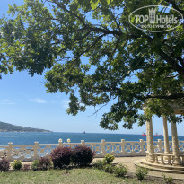 фото из отзыва ID 2131421