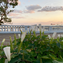 фото из отзыва ID 2131421