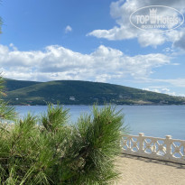 фото из отзыва ID 2131421