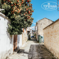 фото из отзыва ID 2133576