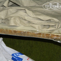 фото из отзыва ID 214352