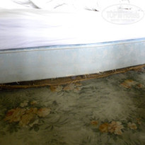 фото из отзыва ID 214352