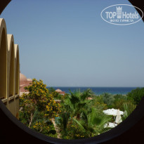 фото из отзыва ID 214559