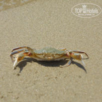 фото из отзыва ID 2140104