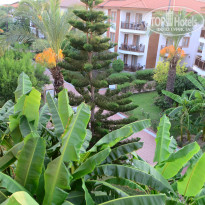 фото из отзыва ID 2140156