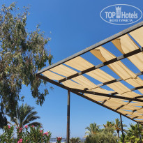 фото из отзыва ID 2140430