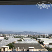 фото из отзыва ID 2140428