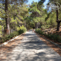 фото из отзыва ID 2140462