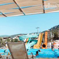 фото из отзыва ID 2140601