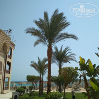 фото из отзыва ID 2140758