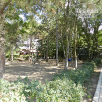 фото из отзыва ID 2140766