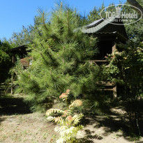 фото из отзыва ID 2140766