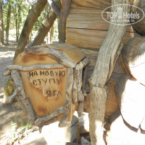 фото из отзыва ID 2140766