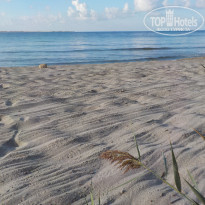 фото из отзыва ID 2140766