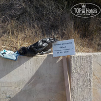 фото из отзыва ID 2140766