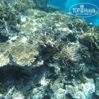 фото из отзыва ID 2140933