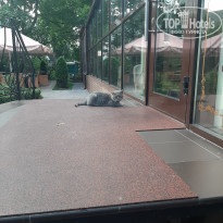 фото из отзыва ID 2141135