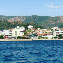 фото из отзыва ID 2141237