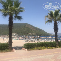 фото из отзыва ID 2141237