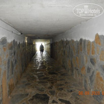 фото из отзыва ID 2141258