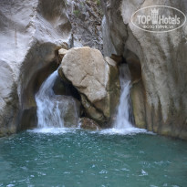 фото из отзыва ID 2140992