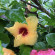 фото из отзыва ID 2141743