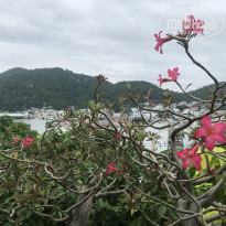 фото из отзыва ID 2141743