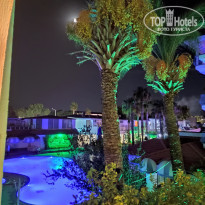 фото из отзыва ID 2141005