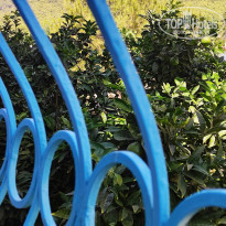 фото из отзыва ID 2141005