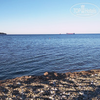 фото из отзыва ID 2141889