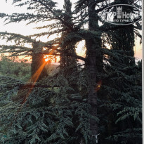 фото из отзыва ID 2141955