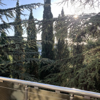 фото из отзыва ID 2141955