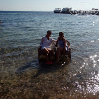 фото из отзыва ID 2142134