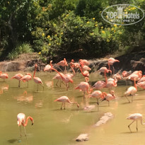 фото из отзыва ID 2142158