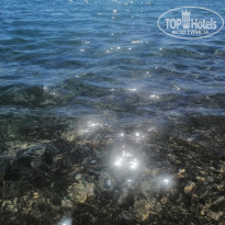 фото из отзыва ID 2142201