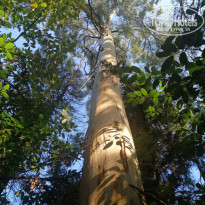 фото из отзыва ID 2142201