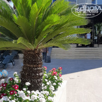 фото из отзыва ID 2142244