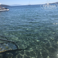 фото из отзыва ID 2142254