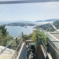 фото из отзыва ID 2142254