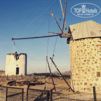 фото из отзыва ID 2142254