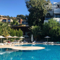 фото из отзыва ID 2142254