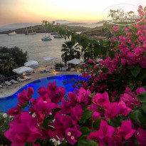 фото из отзыва ID 2142254