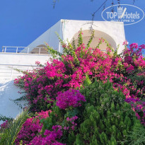 фото из отзыва ID 2142254