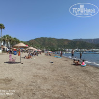 фото из отзыва ID 2142354