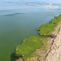 фото из отзыва ID 2141331