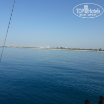 фото из отзыва ID 2142636