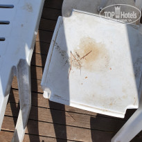 фото из отзыва ID 2142655