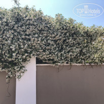 фото из отзыва ID 2142723