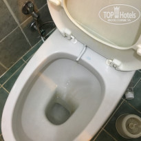 фото из отзыва ID 2142890